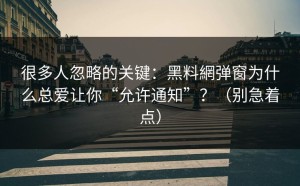很多人忽略的关键：黑料網弹窗为什么总爱让你“允许通知”？（别急着点）