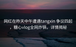 网红在昨天中午遭遇tangxin 争议四起，糖心vlog全网炸锅，详情揭秘